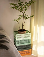 Laden Sie das Bild in den Galerie-Viewer, Klappkiste Maxi I Green Bean Green