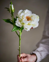 Laden Sie das Bild in den Galerie-Viewer, Bloomingville Kunstblume Pfingstrose Peony Stiel Weiß mit detailreicher Blüte.