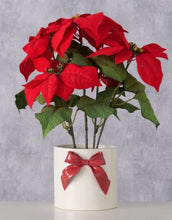 Laden Sie das Bild in den Galerie-Viewer, Runder, weißer Übertopf von Boltze aus Porzellan mit Reliefstruktur