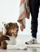 Laden Sie das Bild in den Galerie-Viewer, Hundedecke Ida M in Streifen Rose / Maple – weiche Decke aus Baumwollmischung für Hunde. Ideal für Zuhause und unterwegs, OEKO-TEX-zertifiziert, maschinenwaschbar und trocknergeeignet.