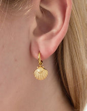 Laden Sie das Bild in den Galerie-Viewer, Ohrringe Coast Glow I Silber