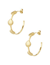 Laden Sie das Bild in den Galerie-Viewer, Ohrringe Shell Hoop I Gold