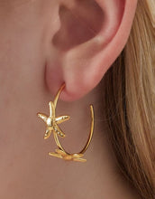 Laden Sie das Bild in den Galerie-Viewer, Ohrringe Star Hoop I Gold