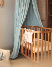 Laden Sie das Bild in den Galerie-Viewer, Kuscheltier I Dino Roarsome