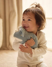 Laden Sie das Bild in den Galerie-Viewer, Kuscheltier I Dino Roarsome