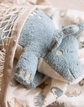 Laden Sie das Bild in den Galerie-Viewer, Kuscheltier I Dino Roarsome