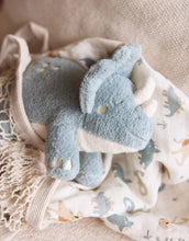 Laden Sie das Bild in den Galerie-Viewer, Kuscheltier I Dino Roarsome