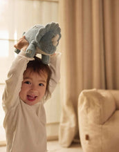 Laden Sie das Bild in den Galerie-Viewer, Kuscheltier I Dino Roarsome