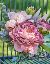 Laden Sie das Bild in den Galerie-Viewer, Kunstblume Georgine Dahlie H 53cm I Rosé