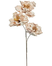 Laden Sie das Bild in den Galerie-Viewer, Kunstblume Happia Schaum 20cm I Natur