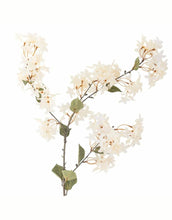 Laden Sie das Bild in den Galerie-Viewer, Kunstblume Myrtle Zweig I Weiß