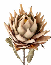 Laden Sie das Bild in den Galerie-Viewer, Kunstblume Protea Stiel I Natur