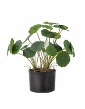 Laden Sie das Bild in den Galerie-Viewer, Kunstpflanze Copper I Grün