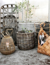 Laden Sie das Bild in den Galerie-Viewer, Laterne Balu I Natur