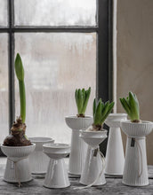 Laden Sie das Bild in den Galerie-Viewer, Hyazinthen-Vase H 19cm I Weiß
