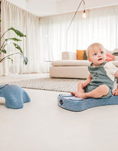 Laden Sie das Bild in den Galerie-Viewer, 3in1 Babyroller My First I Steel