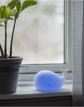 Laden Sie das Bild in den Galerie-Viewer, Nachtlicht Whale von Star Trading, weißer Wal, LED-Farbwechsel in 7 Farben, Timerfunktion, batteriebetrieben, Maße 16,7x9,5x10,9 cm.