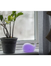 Laden Sie das Bild in den Galerie-Viewer, Nachtlicht Whale von Star Trading, weißer Wal, LED-Farbwechsel in 7 Farben, Timerfunktion, batteriebetrieben, Maße 16,7x9,5x10,9 cm.