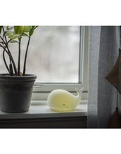 Laden Sie das Bild in den Galerie-Viewer, Nachtlicht Whale von Star Trading, weißer Wal, LED-Farbwechsel in 7 Farben, Timerfunktion, batteriebetrieben, Maße 16,7x9,5x10,9 cm.