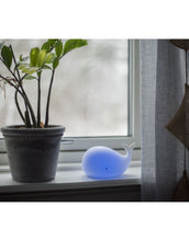 Laden Sie das Bild in den Galerie-Viewer, Nachtlicht Whale von Star Trading, weißer Wal, LED-Farbwechsel in 7 Farben, Timerfunktion, batteriebetrieben, Maße 16,7x9,5x10,9 cm.