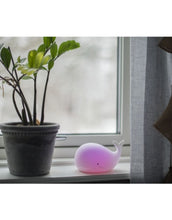 Laden Sie das Bild in den Galerie-Viewer, Nachtlicht Whale von Star Trading, weißer Wal, LED-Farbwechsel in 7 Farben, Timerfunktion, batteriebetrieben, Maße 16,7x9,5x10,9 cm.