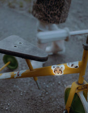 Laden Sie das Bild in den Galerie-Viewer, Reflektierende Sticker I Dinos