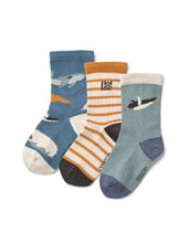 Laden Sie das Bild in den Galerie-Viewer, Socken Silas 3er-Set I Arctic Sea/Ocean View