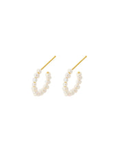 Laden Sie das Bild in den Galerie-Viewer, Ohrringe Ocean Treasure Hoops I Gold