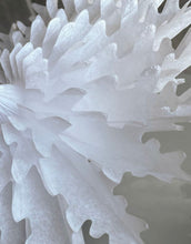 Laden Sie das Bild in den Galerie-Viewer, Papierstern ø 30cm I Weiß