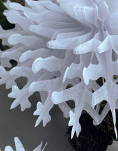 Laden Sie das Bild in den Galerie-Viewer, Papierstern ø 45cm I Weiß