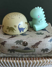 Laden Sie das Bild in den Galerie-Viewer, Nachtlicht Sternenhimmel Projektor I Dinosaurier