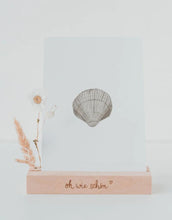 Laden Sie das Bild in den Galerie-Viewer, Postkarte I Muschel