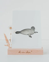 Laden Sie das Bild in den Galerie-Viewer, Postkarte I Robbe