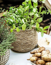 Laden Sie das Bild in den Galerie-Viewer, Hängekorb Seegras I Natur