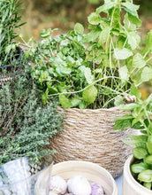 Laden Sie das Bild in den Galerie-Viewer, Hängekorb Seegras I Natur