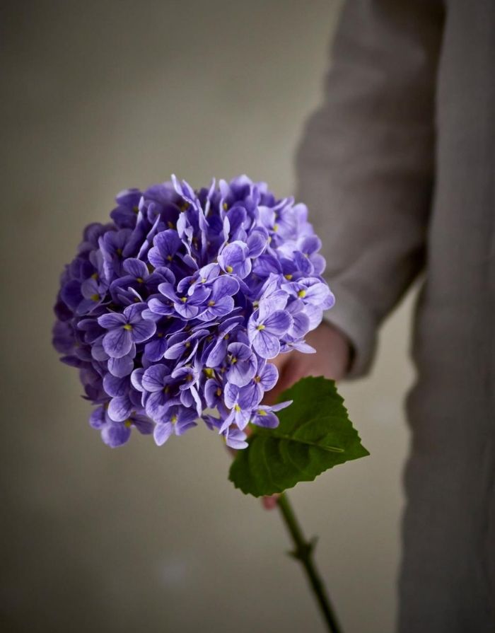 Kunstblume Hydrangea/Hortensie I Violett – nordlykk