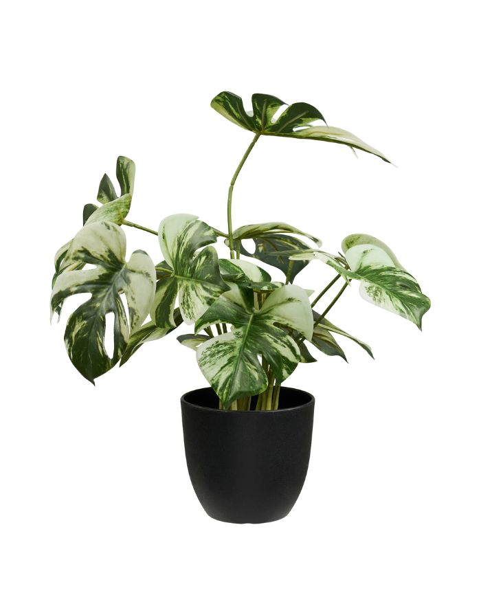 Grüne Kunstpflanze Monstera von House Nordic mit dekorativen Monstera-Blättern und einer Höhe von 41 cm.