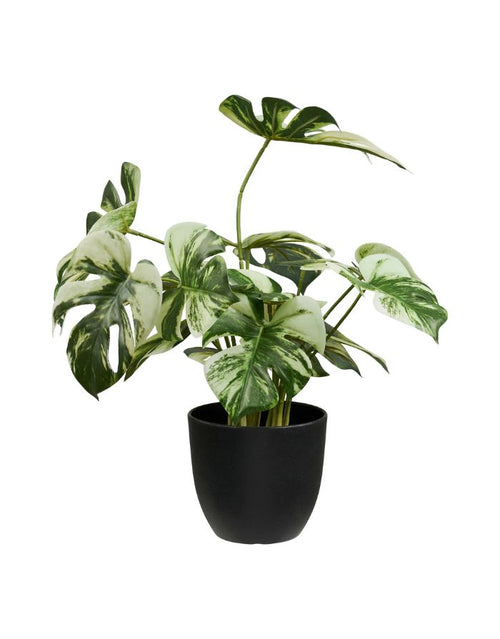 Grüne Kunstpflanze Monstera von House Nordic mit dekorativen Monstera-Blättern und einer Höhe von 41 cm.