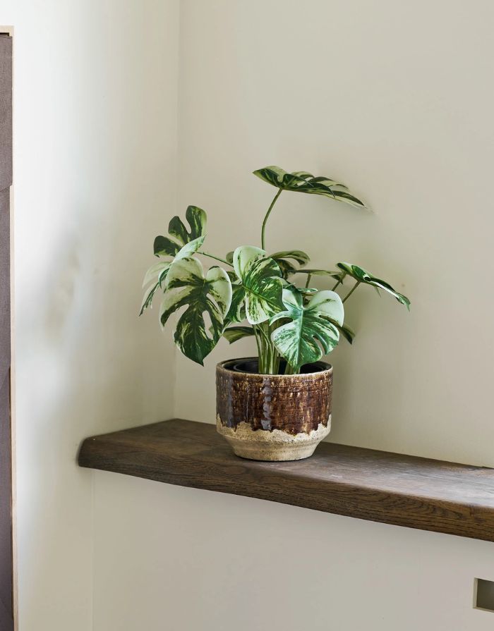 Grüne Kunstpflanze Monstera von House Nordic mit dekorativen Monstera-Blättern und einer Höhe von 41 cm in Übertopf.