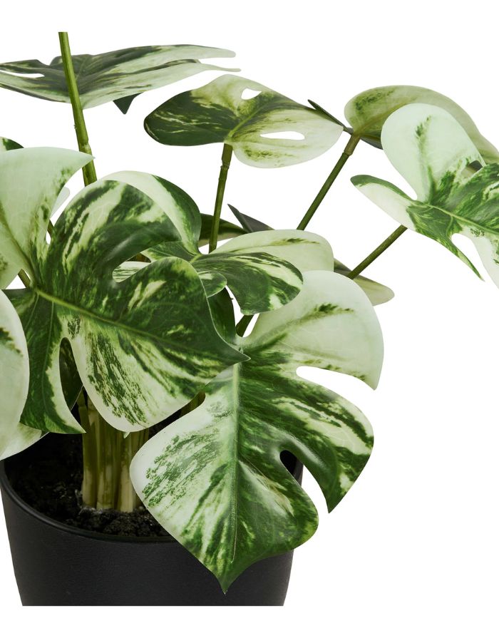 Grüne Kunstpflanze Monstera von House Nordic mit dekorativen Monstera-Blättern und einer Höhe von 41 cm, Nahaufnahme.