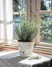 Laden Sie das Bild in den Galerie-Viewer, Übertopf Moomin I Gardenia
