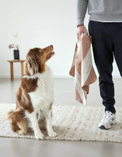 Laden Sie das Bild in den Galerie-Viewer, Hundedecke Ida M in Streifen Rose / Maple – weiche Decke aus Baumwollmischung für Hunde. Ideal für Zuhause und unterwegs, OEKO-TEX-zertifiziert, maschinenwaschbar und trocknergeeignet.
