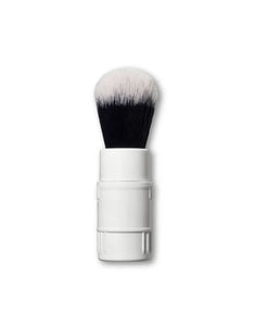 Click-In Brush
