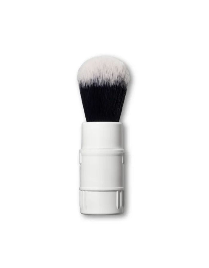 Click-In Brush