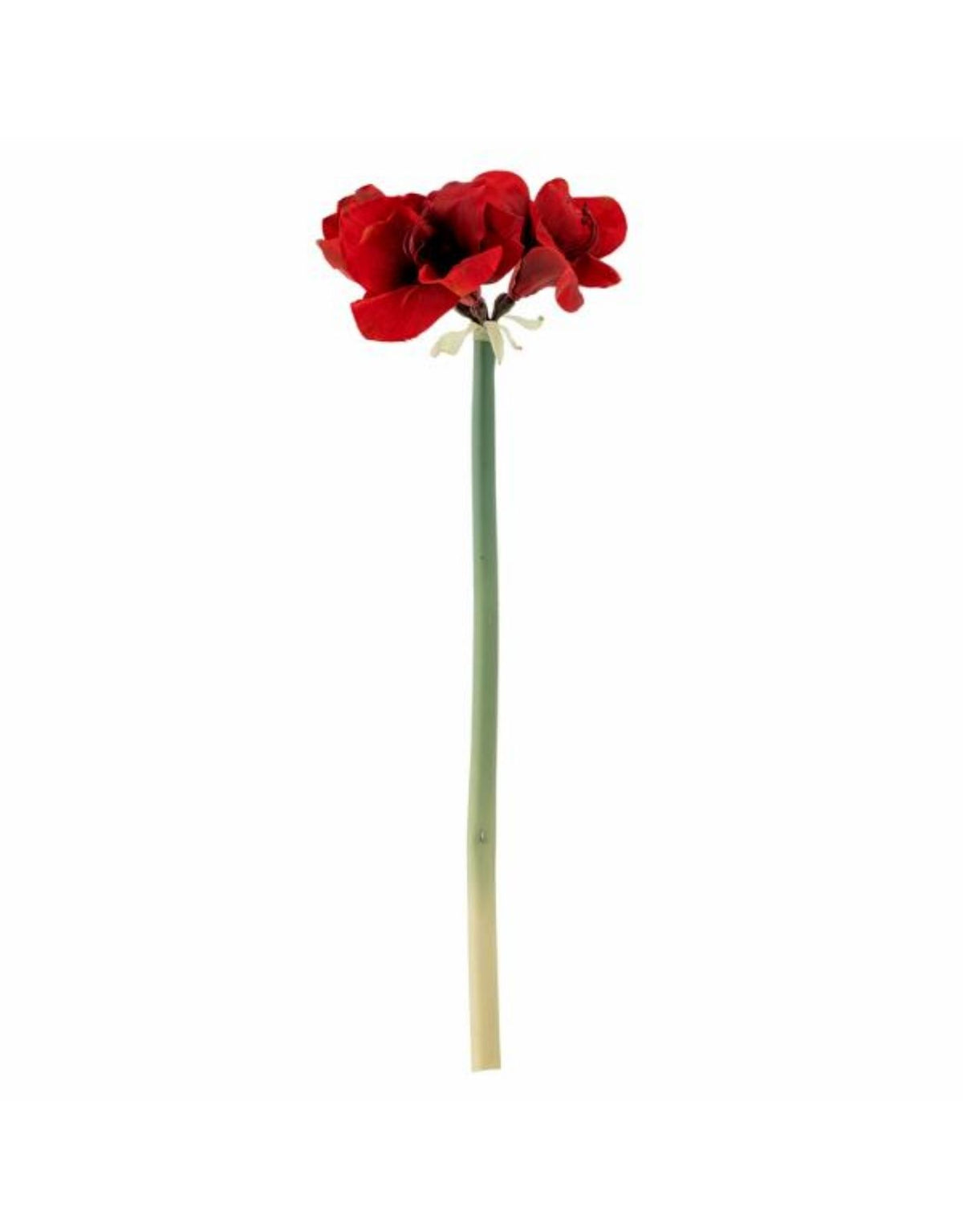 Künstlicher Amaryllis Stiel von Bloomingville mit großen tiefroten Blüten und langem grünem Stiel, 74 cm hoch.