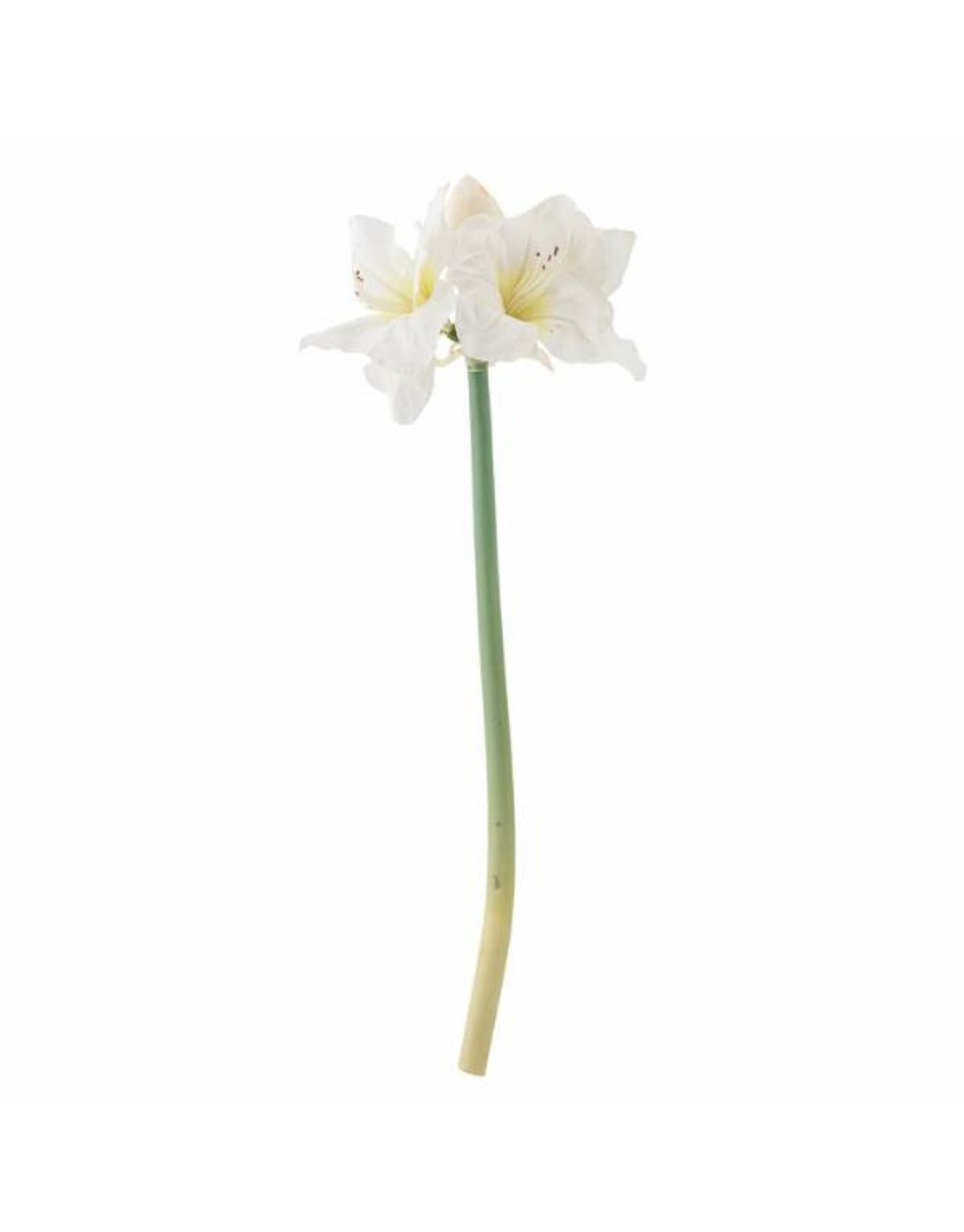 Künstlicher Amaryllis Stiel von Bloomingville mit großen weißen Blüten und langem grünem Stiel, 74 cm hoch.
