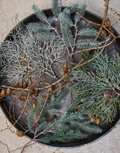 Laden Sie das Bild in den Galerie-Viewer, Kunstblume Zeder Zweig mit Schnee und Zapfen von Speedtsberg, Green/Nature, Höhe 38 cm, naturgetreue Weihnachtsdekoration.
