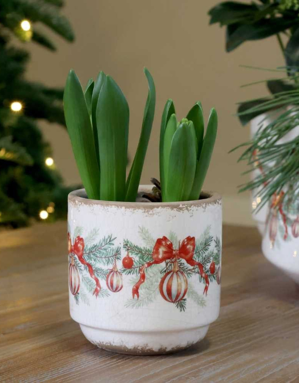 Übertopf Weihnachtskugel und Schleife von Chic Antique in Creme, dekorativer Blumentopf aus Steingut mit roten Schleifen, Weihnachtskugeln und Tannenzweigen im nostalgischen Vintage-Stil, 10 cm hoch.