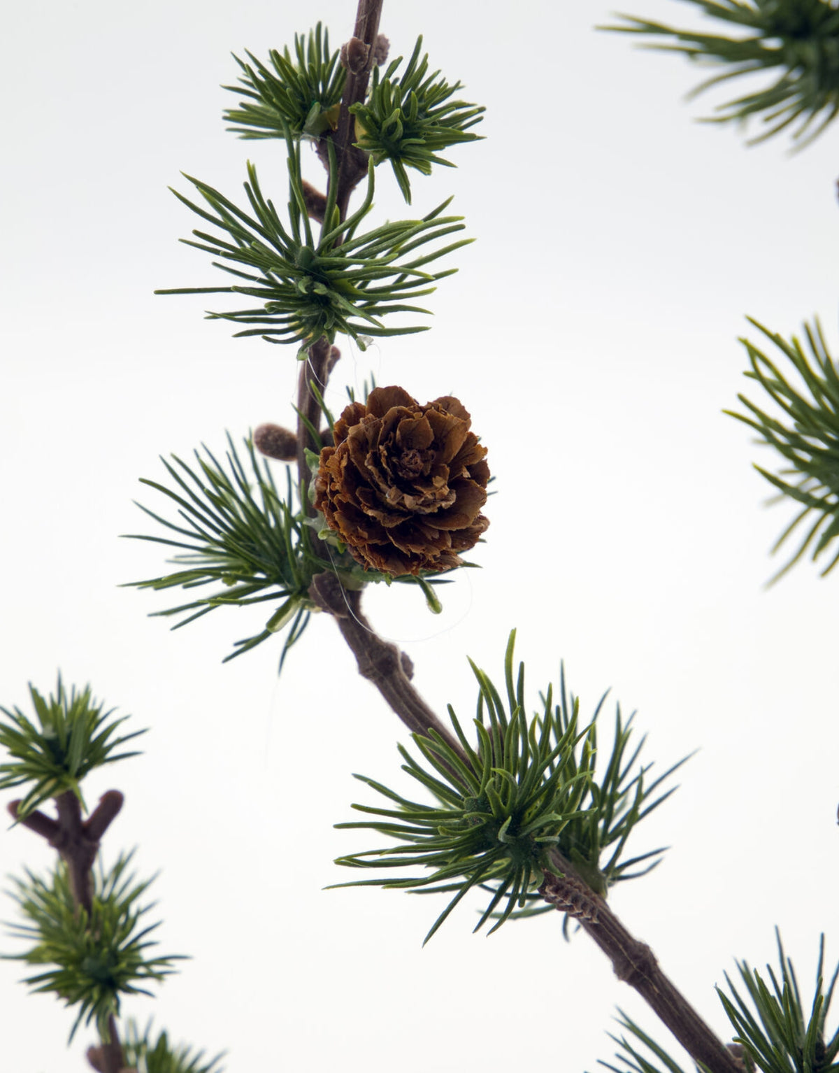 Grüner künstlicher Weihnachtsbaum Stay von House Doctor in natürlicher Zedernoptik mit feinen Zweigen und kleinen Zapfen, 50 cm hoch im Detail als Freisteller
