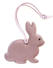 Laden Sie das Bild in den Galerie-Viewer, Reflektor Bunny
